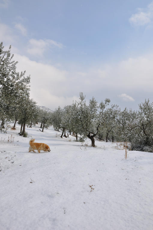 פוליניו Agriturismo "Antico Frantoio" מראה חיצוני תמונה
