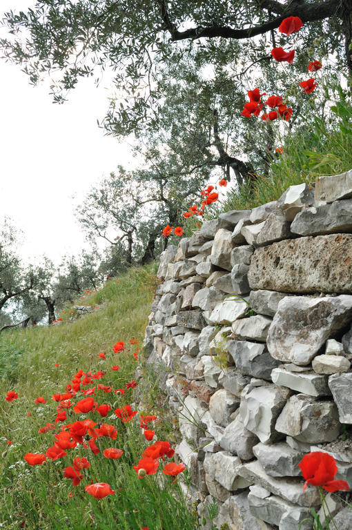 הוילה פוליניו Agriturismo "Antico Frantoio" מראה חיצוני תמונה